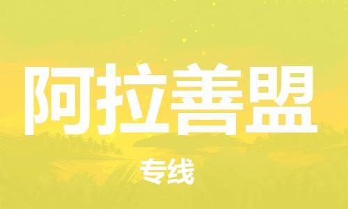 邯郸到阿拉善盟物流公司/专线 实时反馈/全+境+达+到